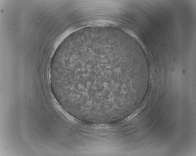 X0000055511083200509022051