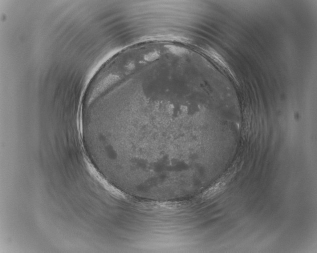 X0000055511084200509022051