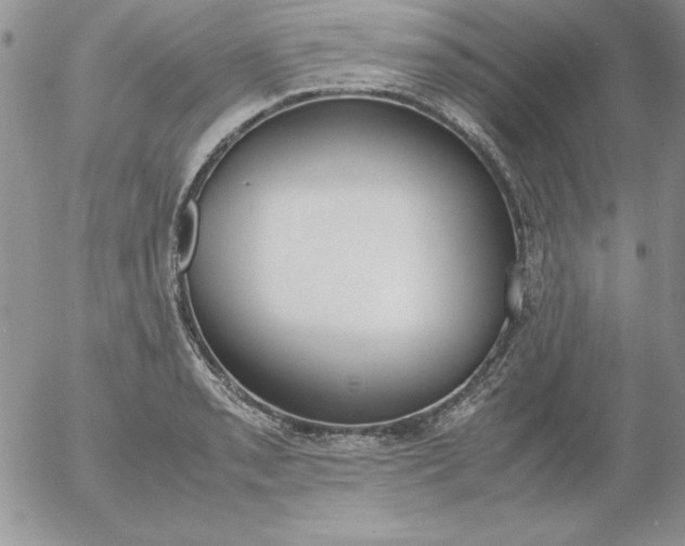 X0000055511085200509022051