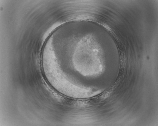 X0000055511086200509022051