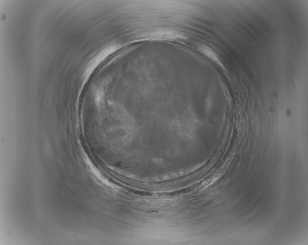 X0000055511087200509022051