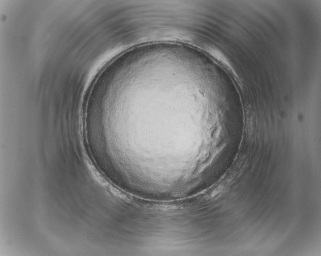 X0000055511088200509022051