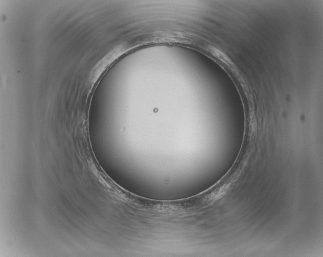 X0000055511089200509022051