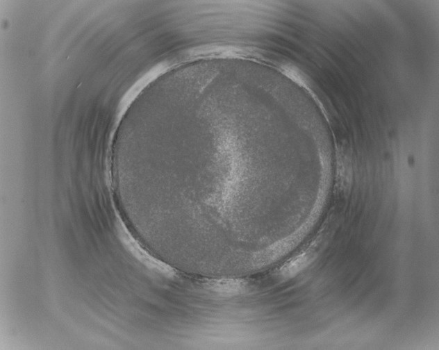 X0000055511090200509022051