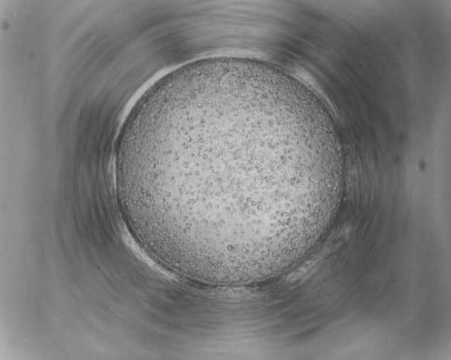 X0000055511092200509022051