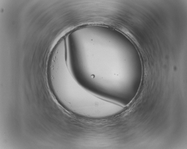 X0000055511093200509022051