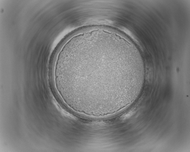 X0000055511094200509022051