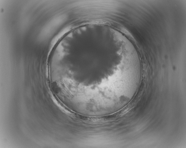 X0000055511095200509022051