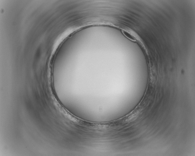 X0000055511096200509022051