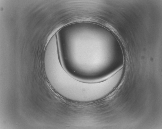 X0000055511097200509022051