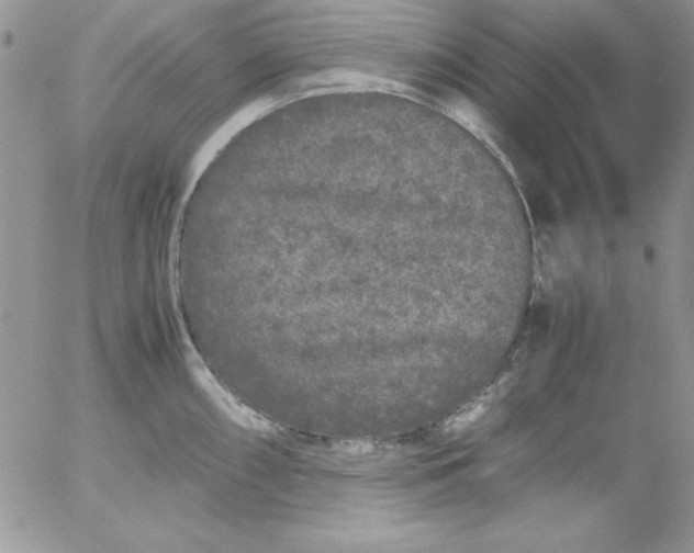 X0000055511098200509022051