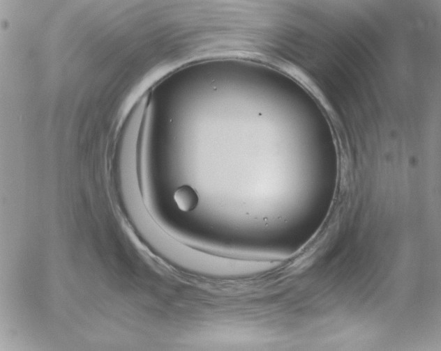 X0000055511101200509022051