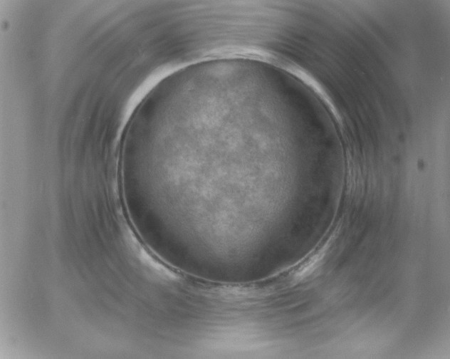 X0000055511102200509022051