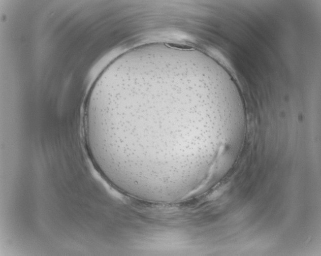 X0000055511103200509022051