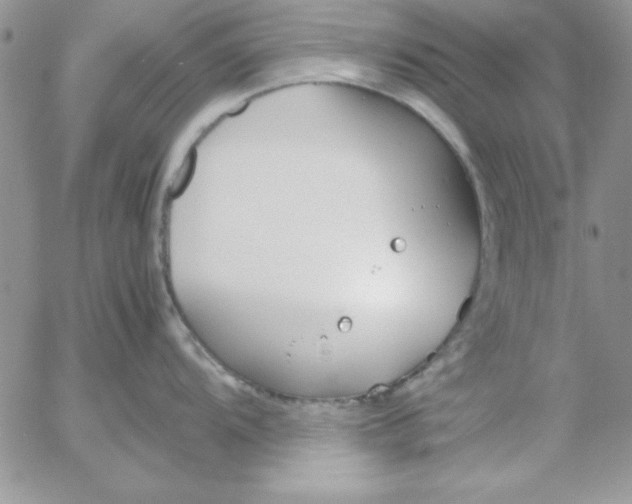 X0000055511104200509022051