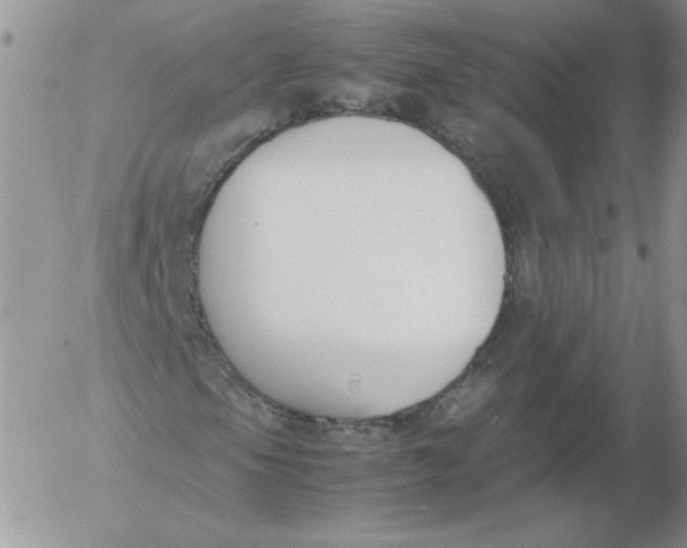 X0000055511105200509022050