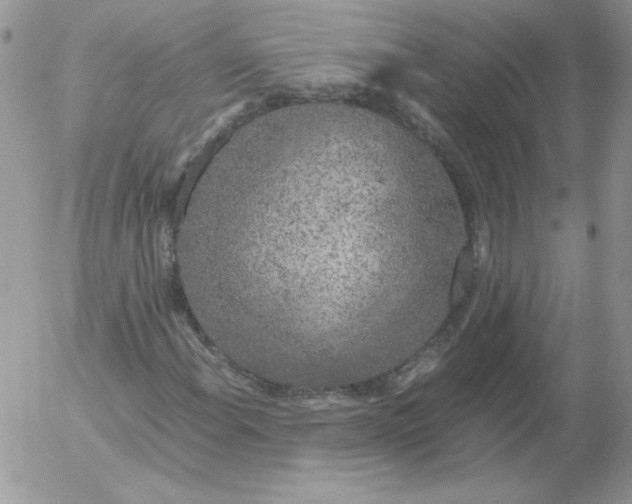 X0000055511108200509022050