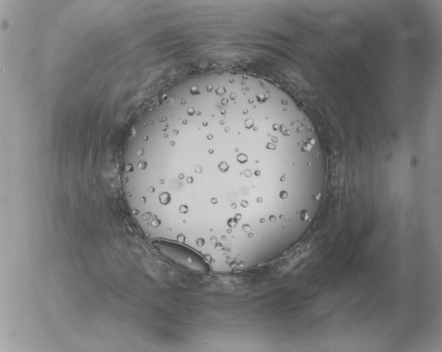 X0000055511109200509022050