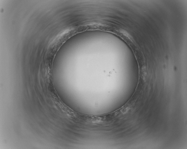 X0000055511111200509022050