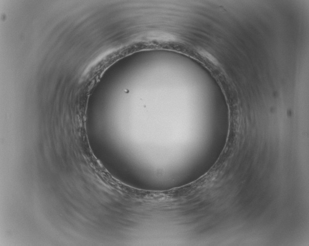 X0000055511112200509022050