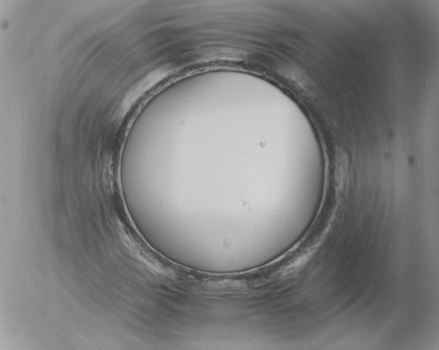 X0000055511113200509022050