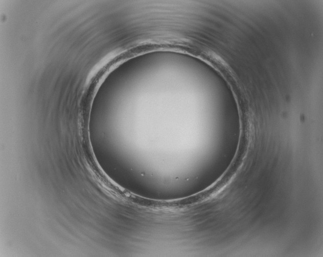 X0000055511114200509022051