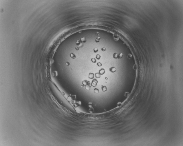 X0000055511115200509022051