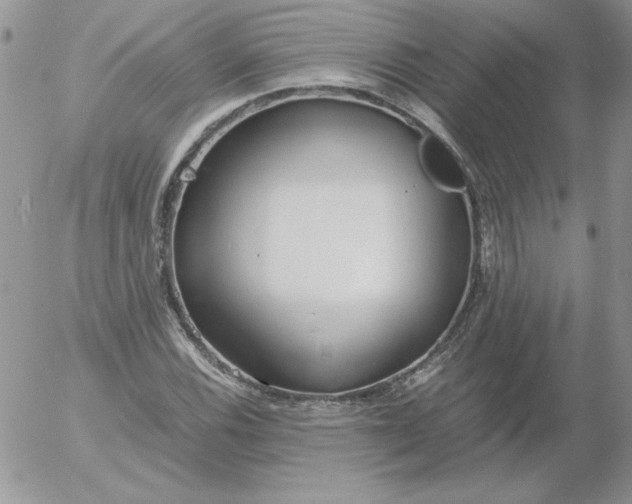 X0000055511116200509022051