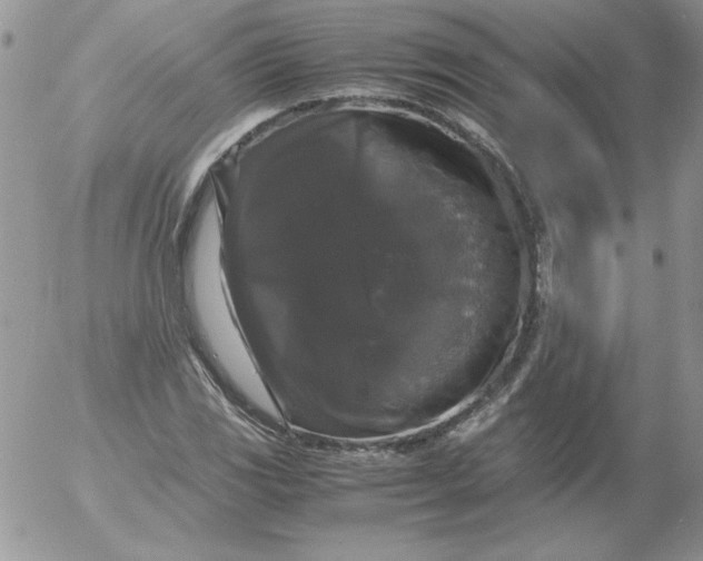 X0000055511117200509022051