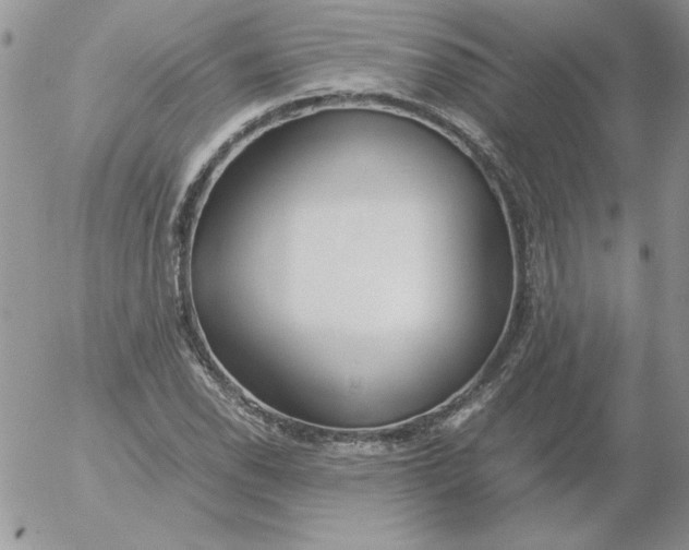 X0000055511118200509022051