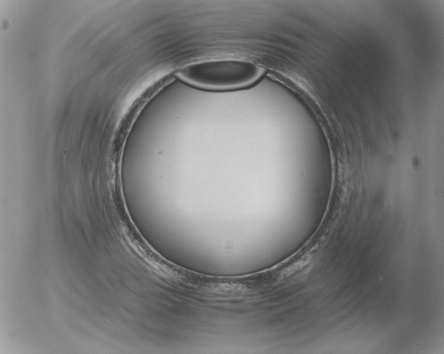 X0000055511119200509022051