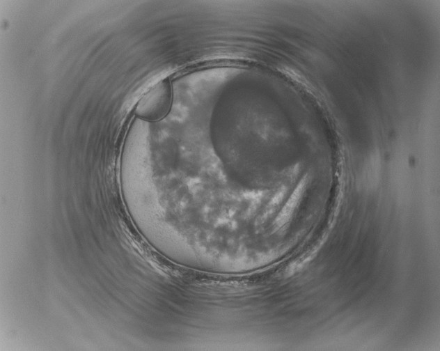 X0000055511121200509022051