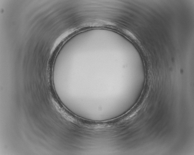 X0000055511122200509022051