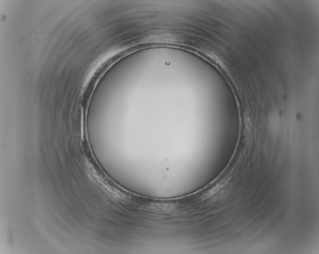 X0000055511123200509022051