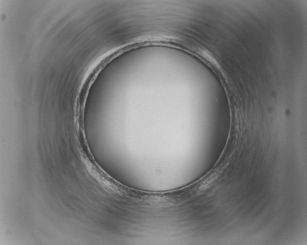 X0000055511124200509022051