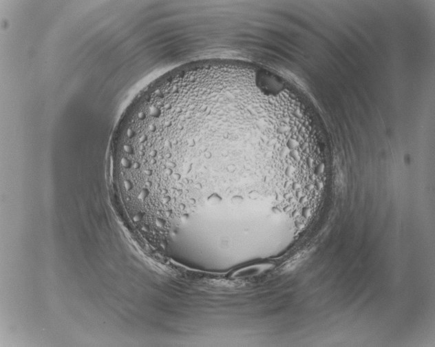 X0000055511125200509022051