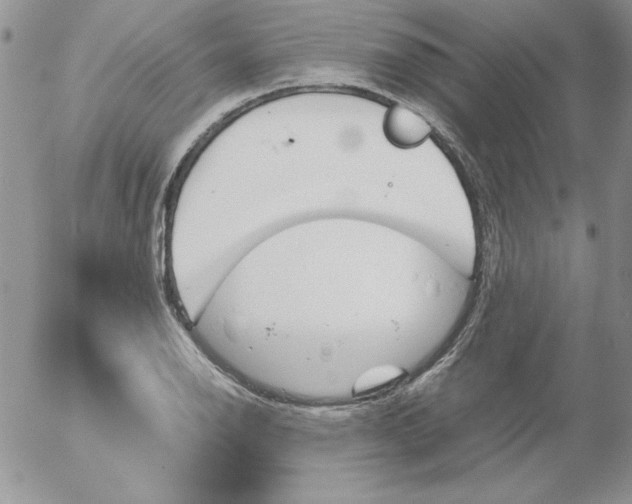 X0000055511126200509022051