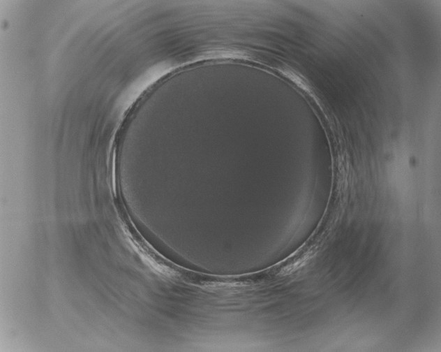 X0000055511127200509022051