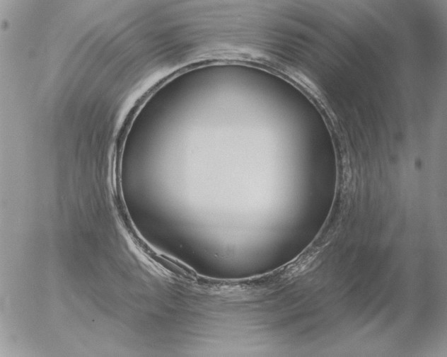 X0000055511128200509022051