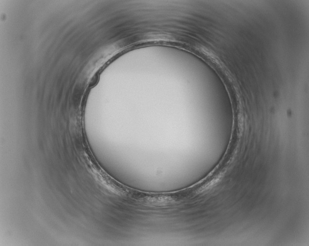 X0000055511129200509022051