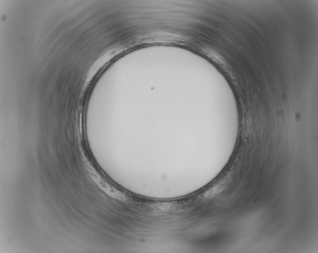 X0000055511130200509022051