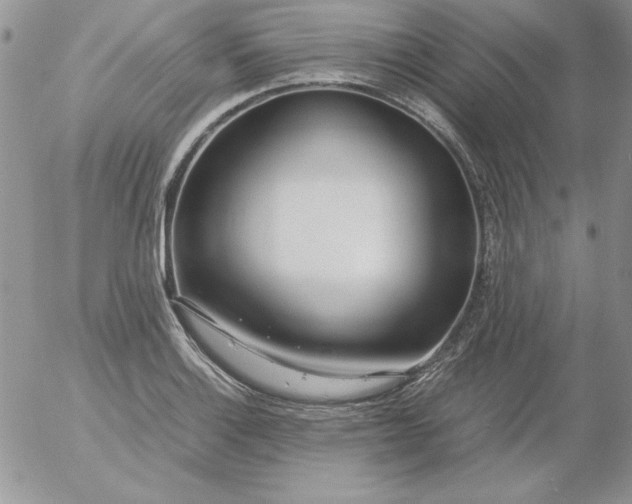 X0000055511132200509022051