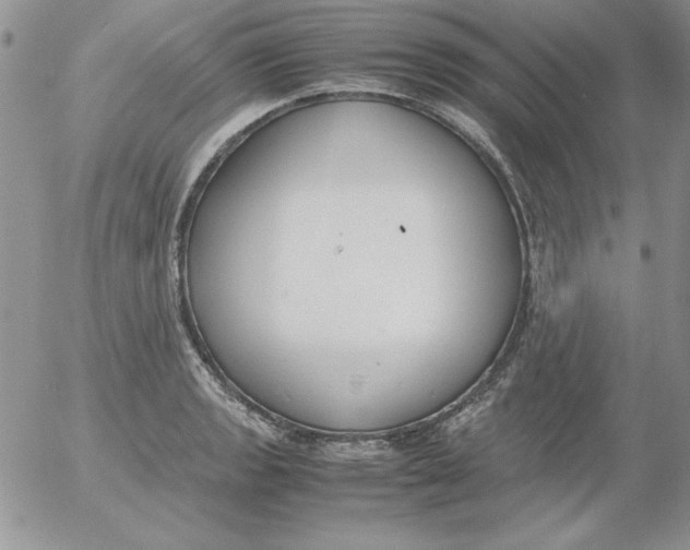 X0000055511133200509022051