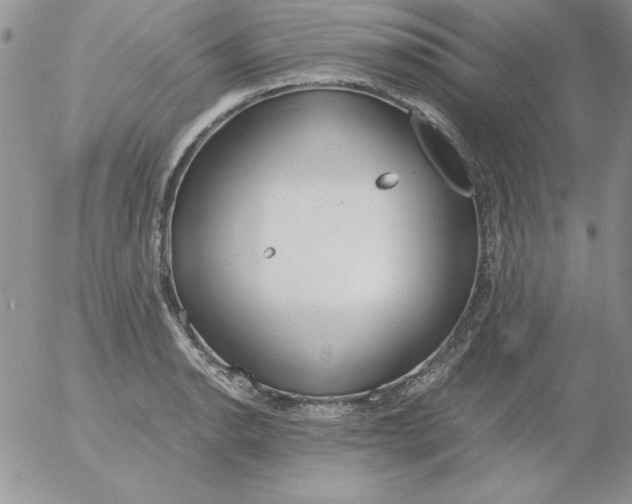 X0000055511134200509022051