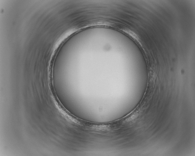 X0000055511135200509022051