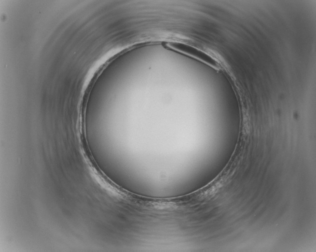 X0000055511136200509022051