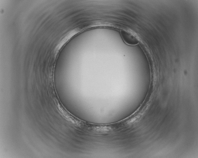 X0000055511137200509022051