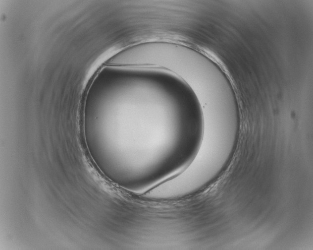 X0000055511138200509022051