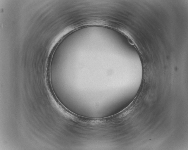 X0000055511139200509022051