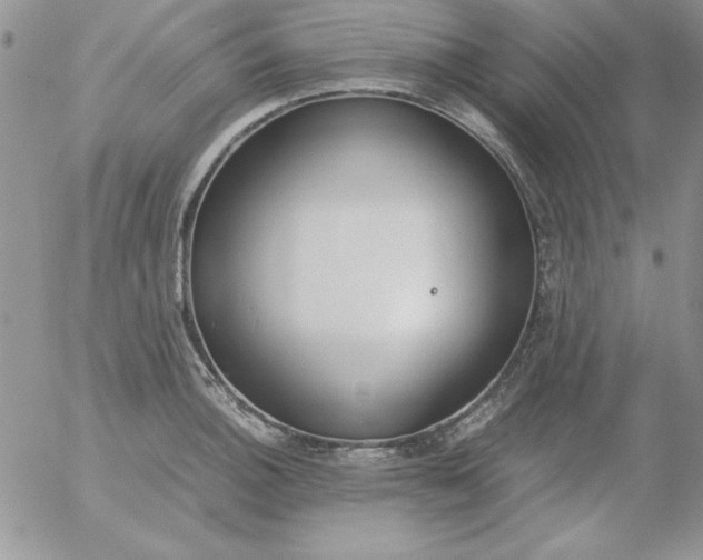 X0000055511140200509022051